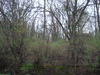 38196 Harold Plac <br> Spring Grove, Il 60081<br /><i>Fox Lake Vista</i>